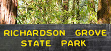 Richardson Grove State Park