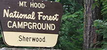 Mt. Hood National Forest