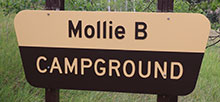 Mollie B_White River