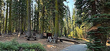 Woodcamp