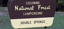 Double Springs