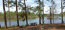 Karick Lake South Blackwater River State Forest
