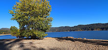 Scotts Flat Lake Deer Creek