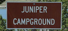 Rockport State Park Juniper