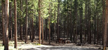Lost Cabin &#8211; Bighorn National Forest