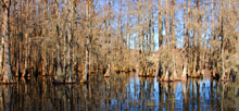 Chicot State Park