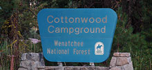Cottonwood Mt Rainier