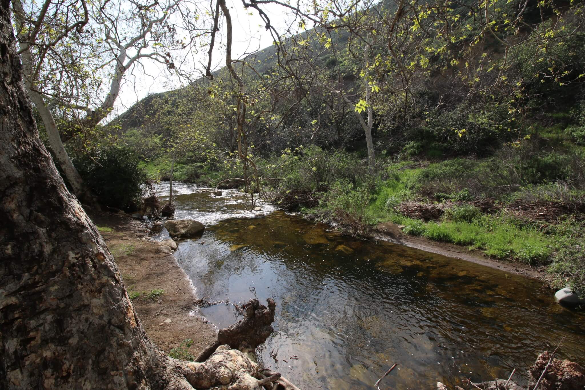 Southern California's Best Campgrounds - Leo Carrillo Creek View