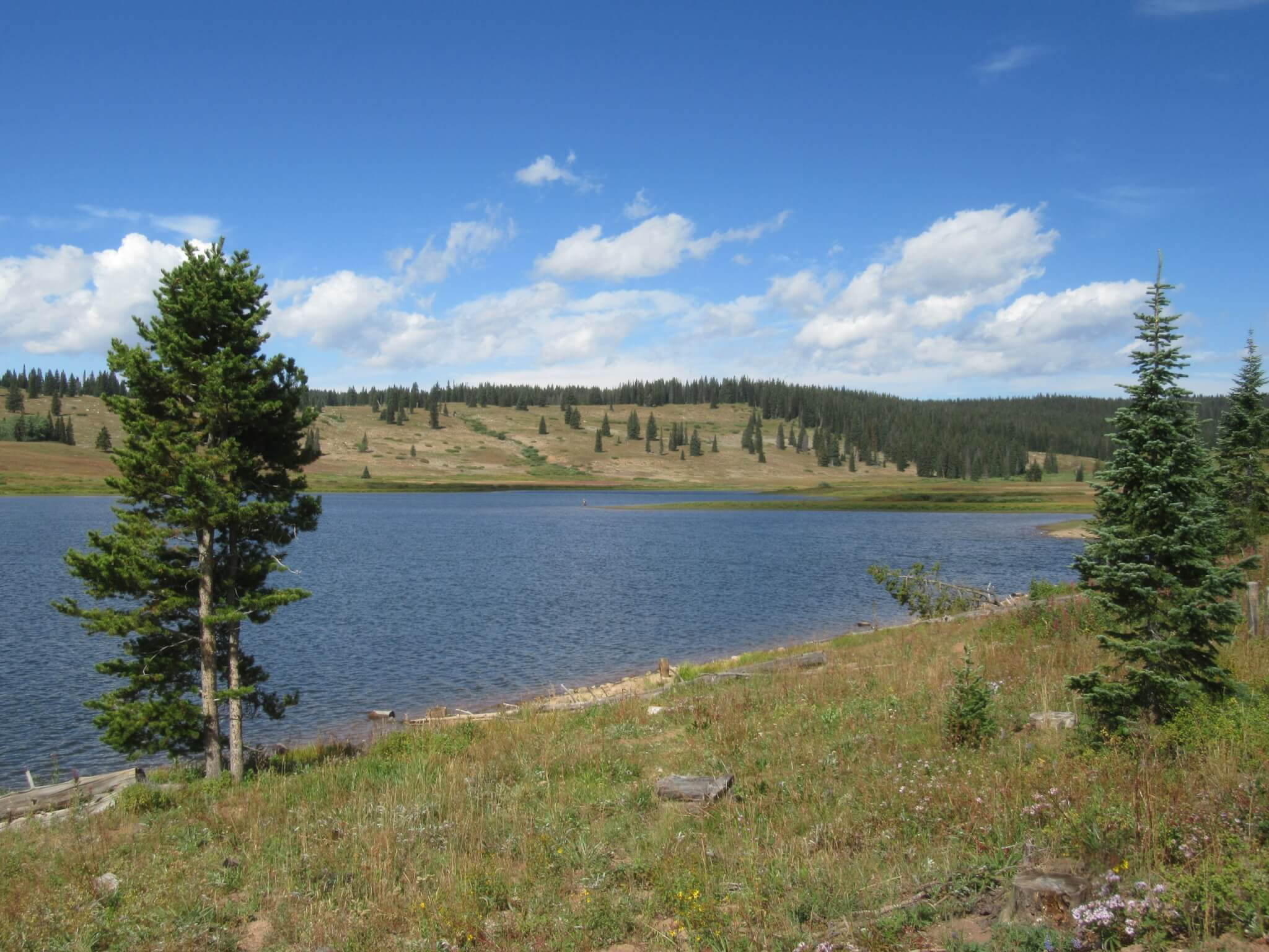 Best Steamboat Springs Area Campgrounds - Dumont Lake