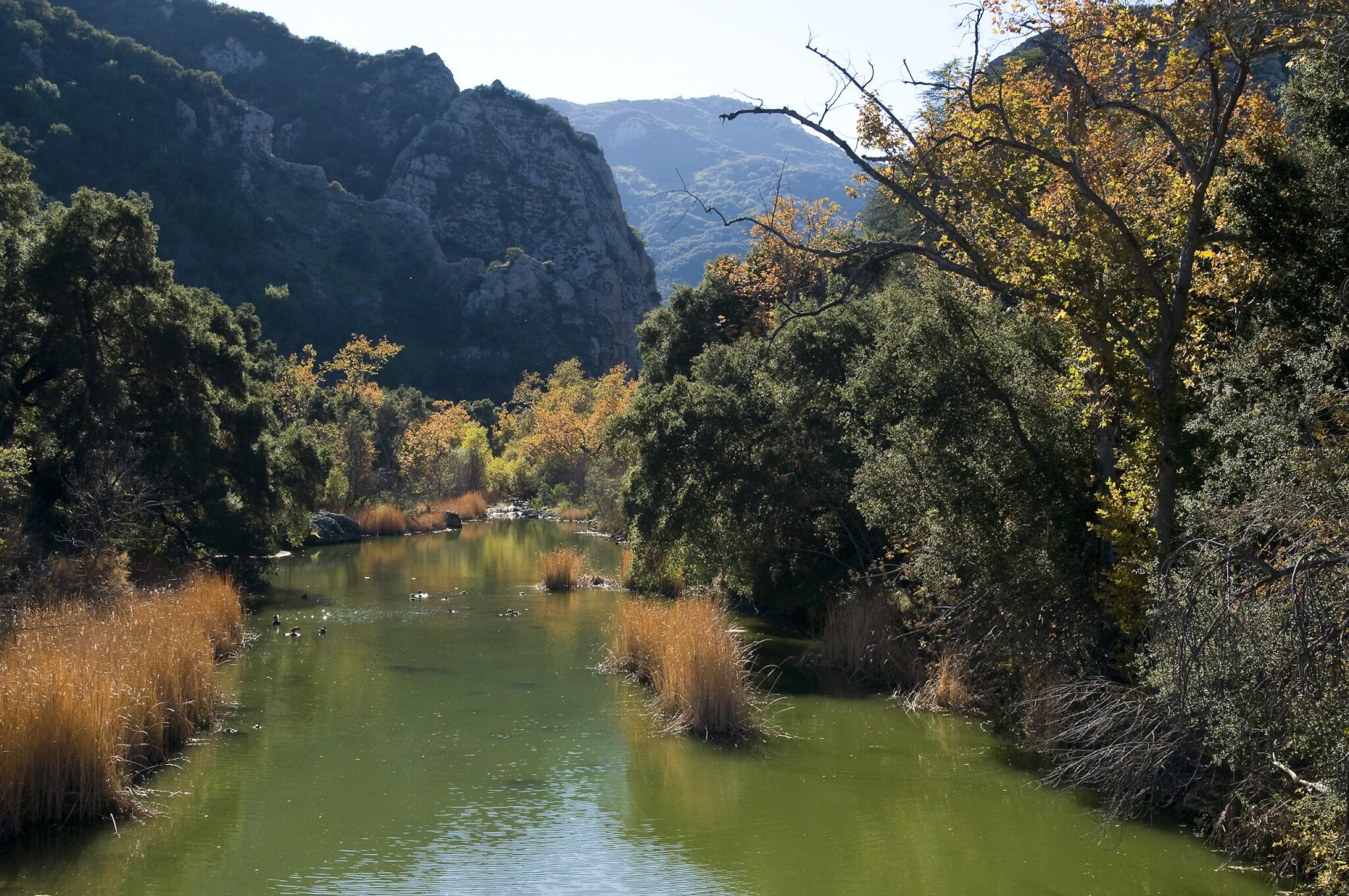Southern California's Best Campgrounds - Malibu Creek