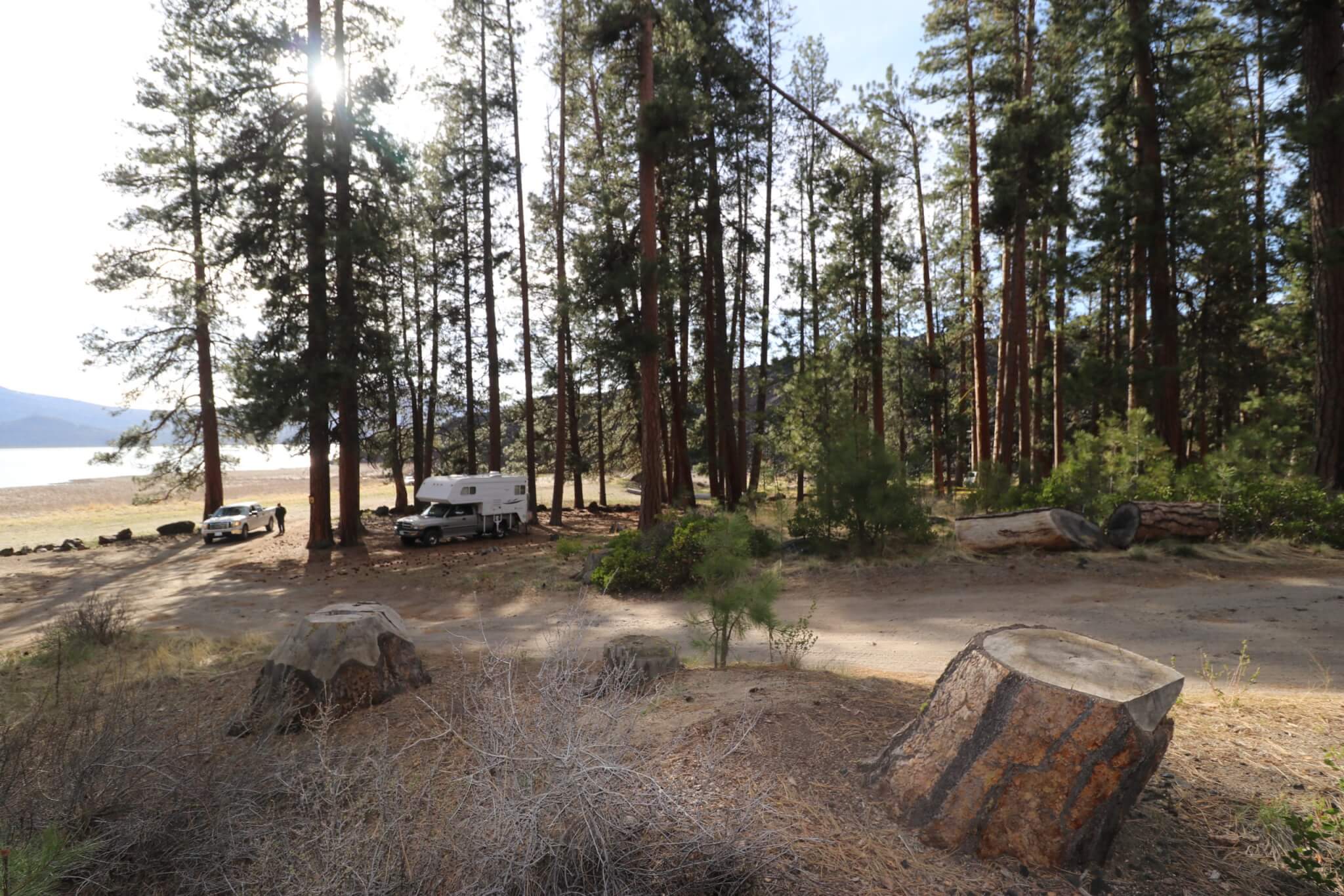 Awesome Campgrounds in the Pacific Northwest and Northern California-Lava Flow Campground View