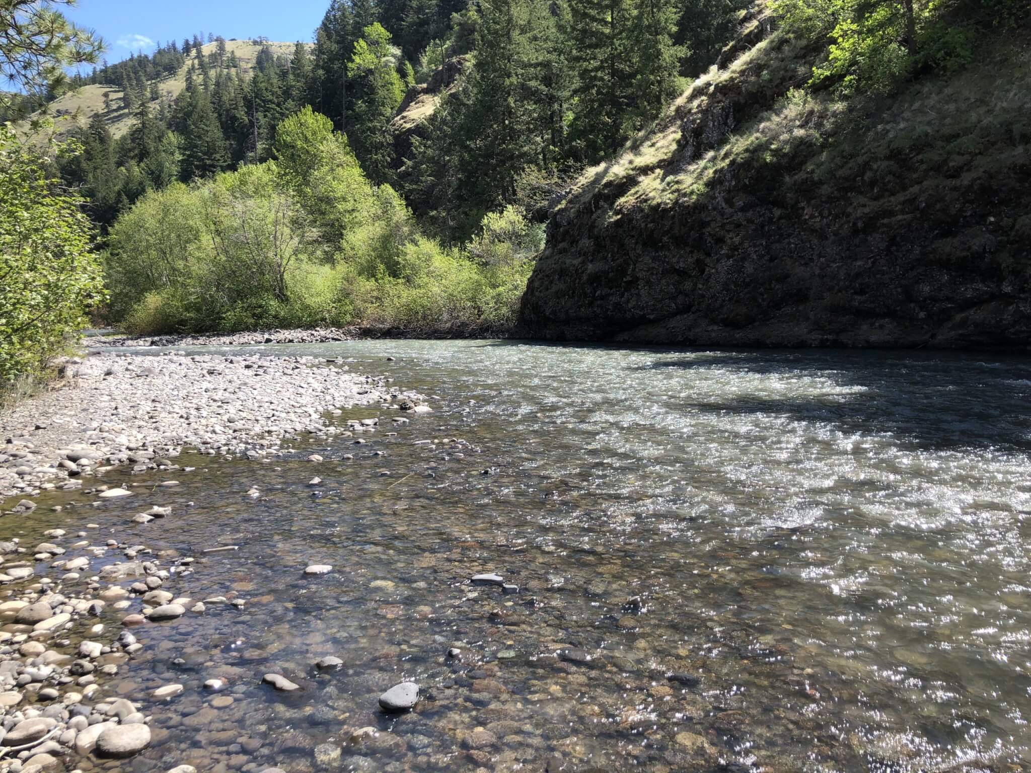 Awesome Campgrounds in the Pacific Northwest and Northern California-American Forks - Bumping River View