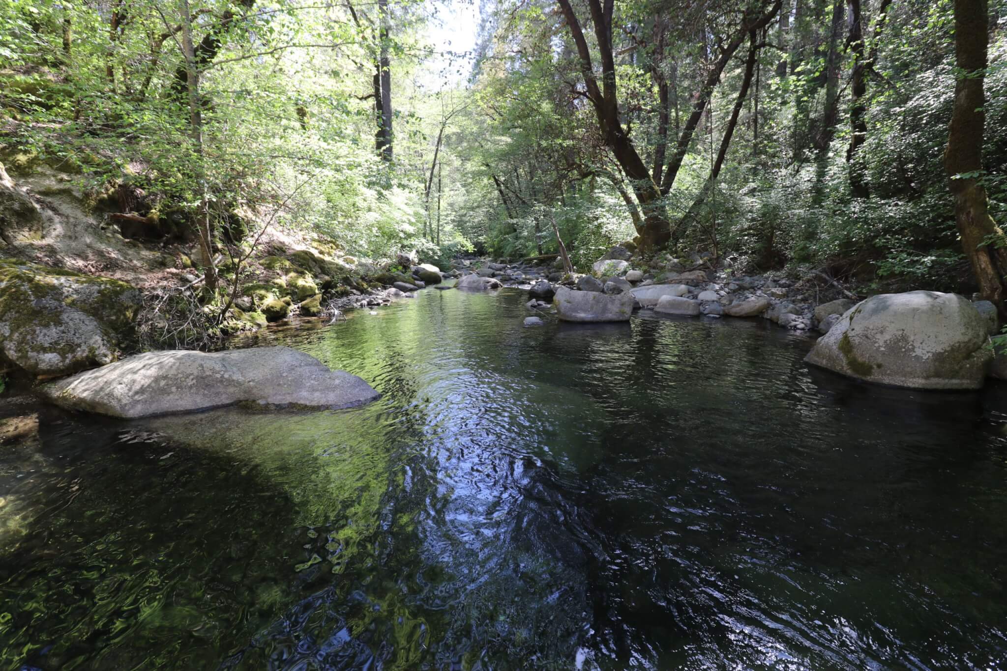 Awesome Campgrounds in the Pacific Northwest and Northern California-CAL-IDA Creek View