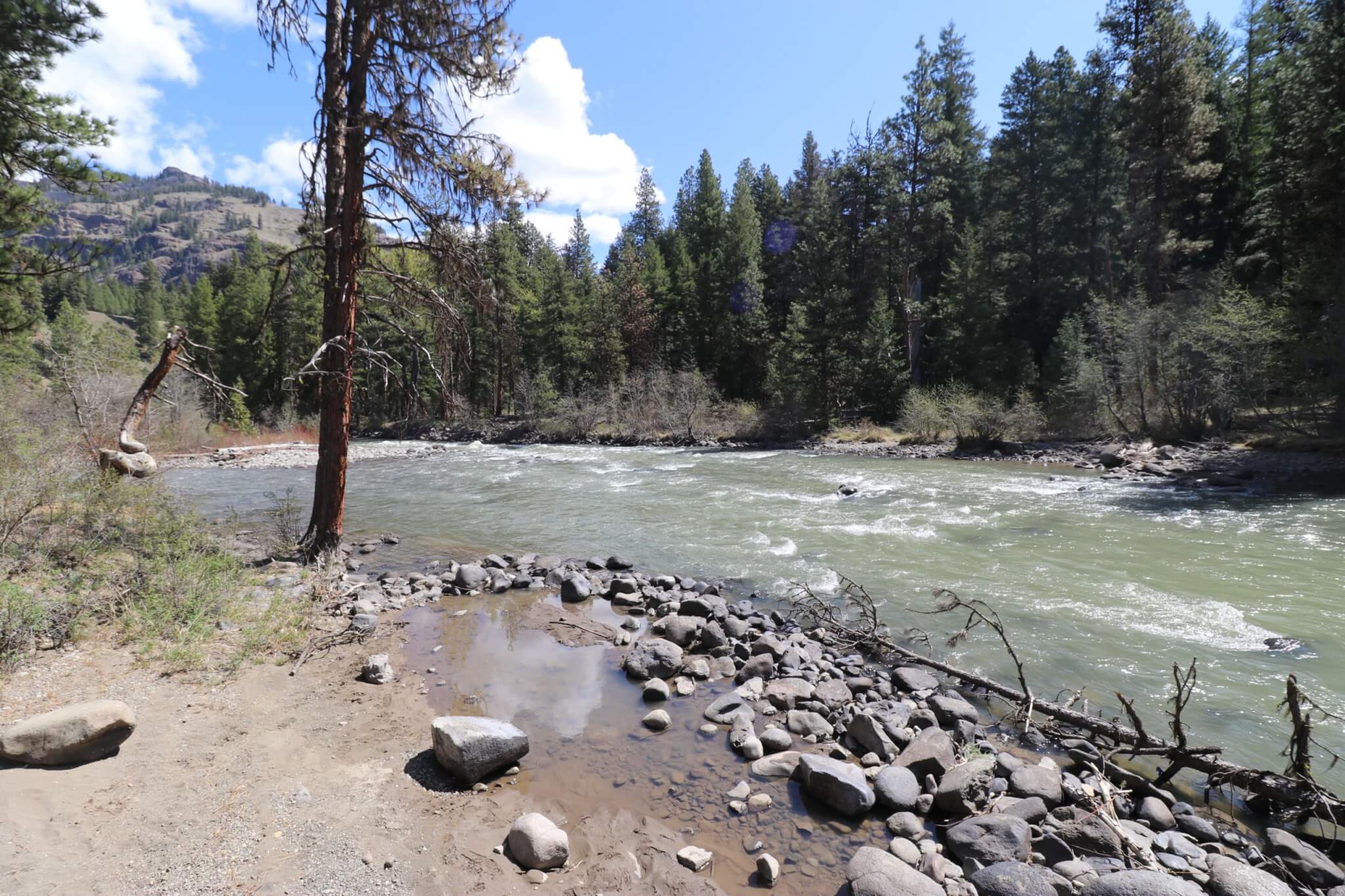 Awesome Campgrounds in the Pacific Northwest and Northern California-Hause Creek_Tieton River