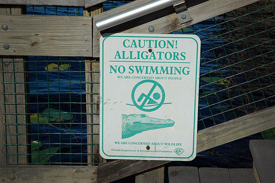 Lake Louisa No Swimming