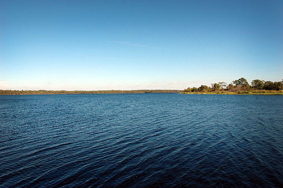 Lake Manatee View