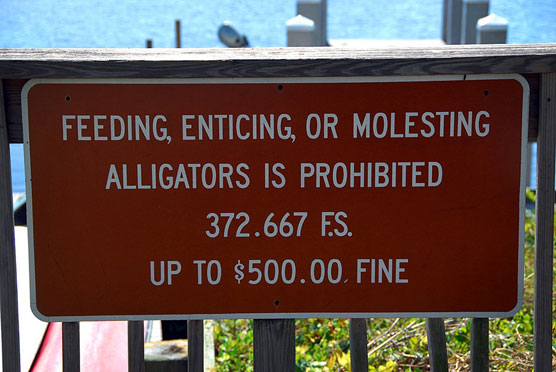 Molest Gators Sign
