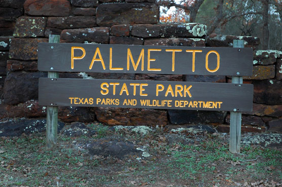 Palmetto Sign