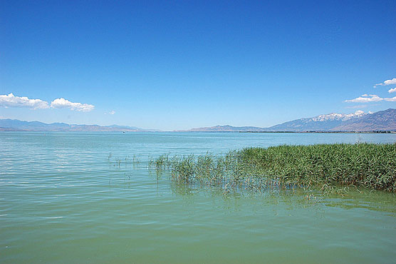 Utah-Lake
