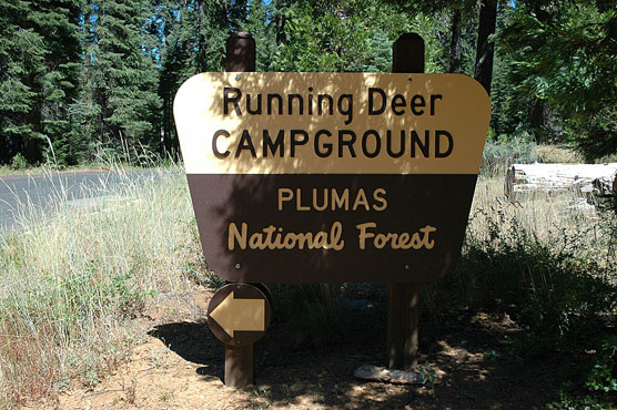 Running-Deer-Sign