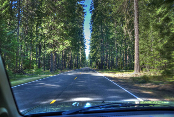 Oregon-Road