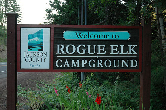 Rogue-Elk-Sign