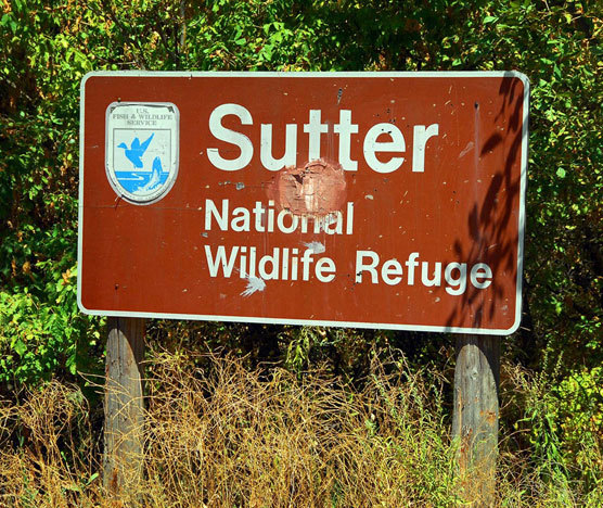 Sutter-Sign