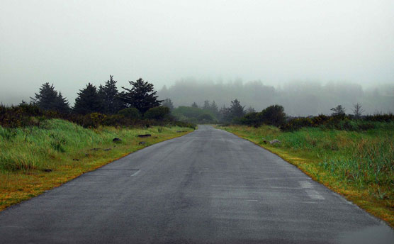 Foggy_Road