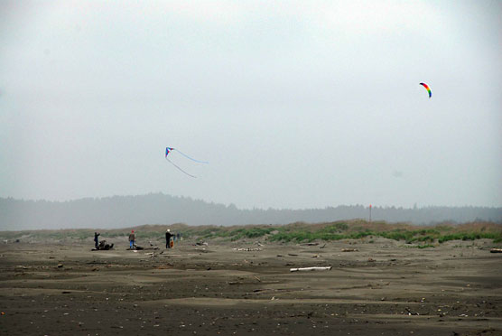 Beach-Kites