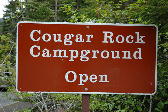 Cougar-Rock-Sign