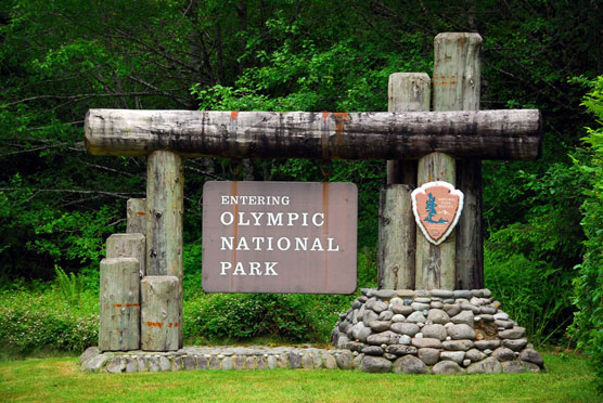Olympic_Sign