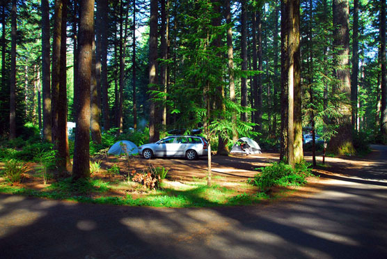 Silver-Falls-Campground