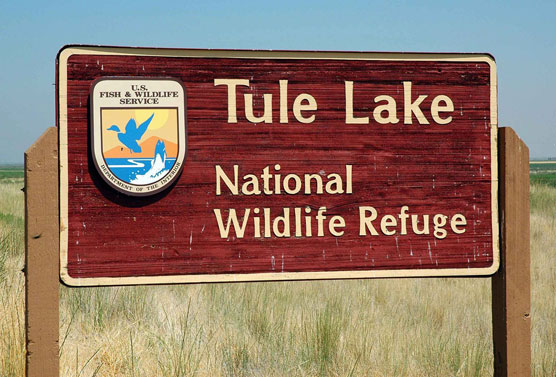 Tule-Sign