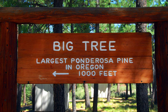 Big-Ponderosa-Sign