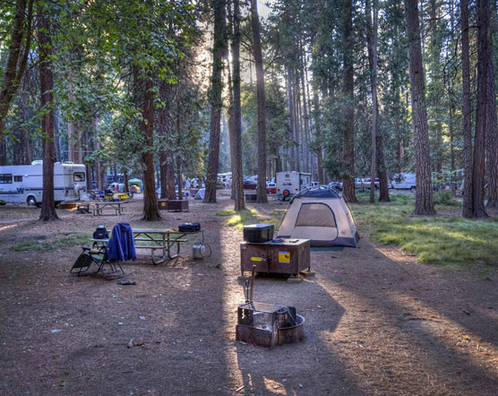North-Pines-Campsite
