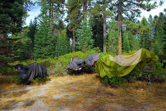 Drying-Tent
