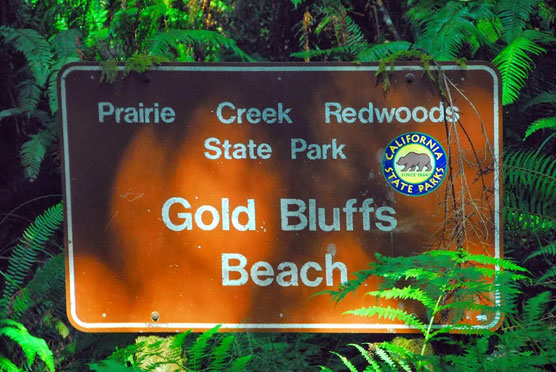 Gold-Bluffs-Beach-Sign