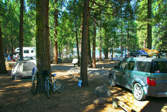 Pinecrest-Campsite