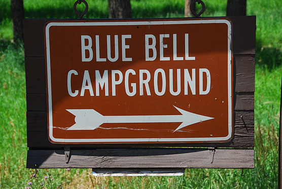 Blue-Bell-Sign