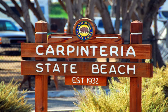 Carpenteria-Sign