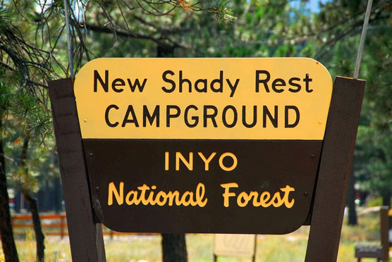 New-Shady-Rest-Sign