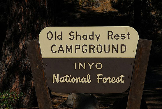 Old-Shady-Rest-Sign