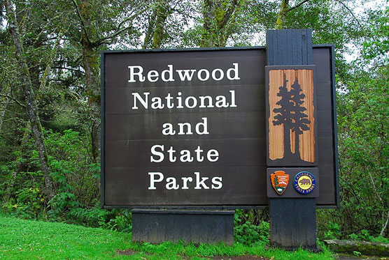 Redwood-National-and-State-Parks-Sign