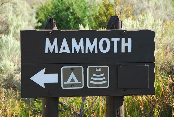 Mammoth-Sign