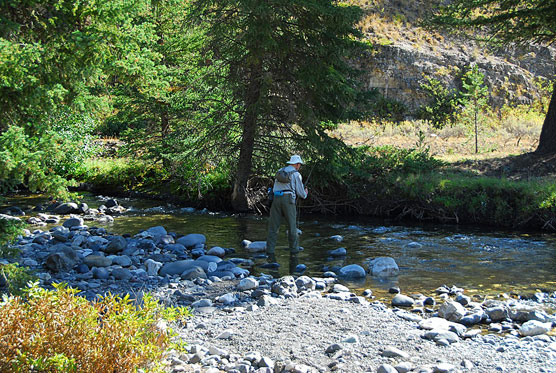 Pebble-Creek-Fishing