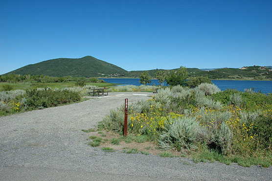 Top 10 Colorado Campsites_Apsen-Grove_205_Vega-State-Park