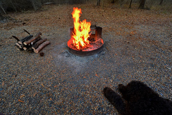 Campfire-5