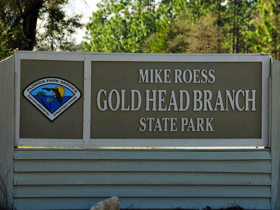 Gold-Head-Branch-Sign