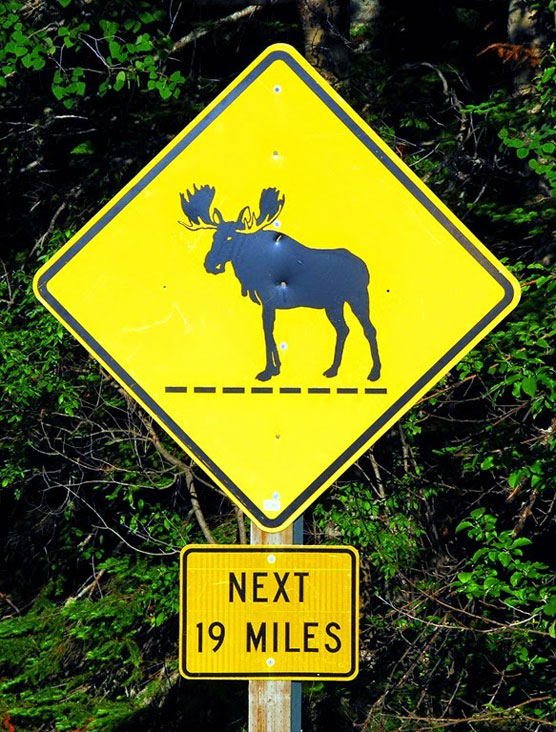 Moose-Sign