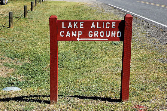 Lake-Alice-Sign